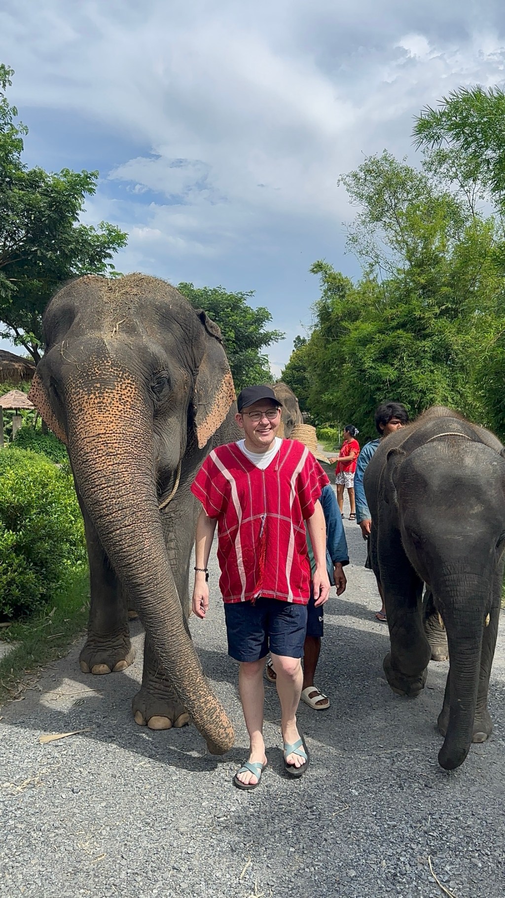 Walking Elephants